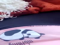 Twitter Scamgirl’s Fart Collection